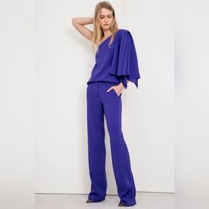 NWT Jeffrey Dodd purple pants